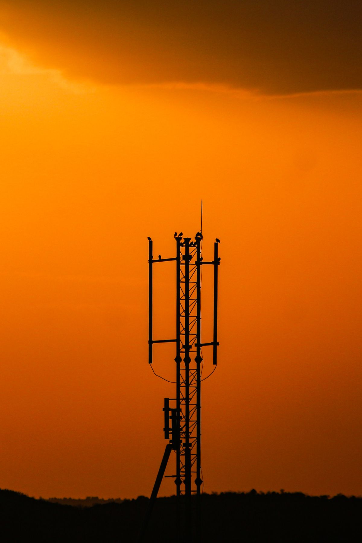 Service SOS TELECOMS